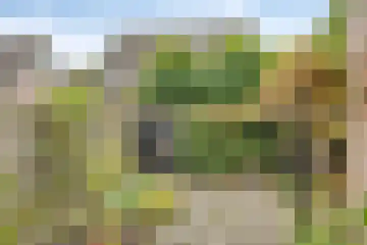 Woert 13 Haaksbergen thumbnail 23