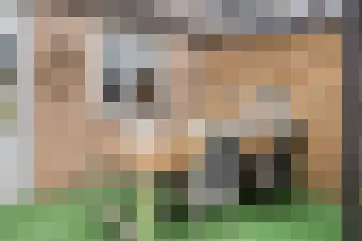 Woert 13 Haaksbergen thumbnail 24