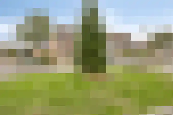 Woert 13 Haaksbergen thumbnail 26