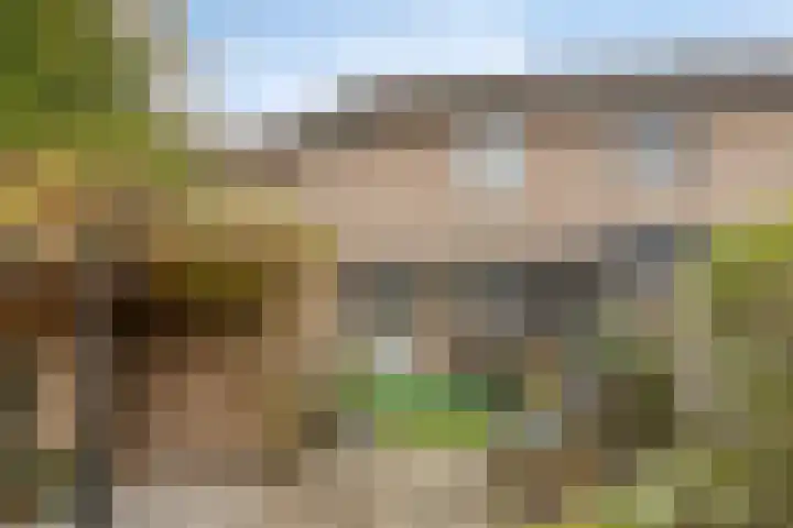 Woert 13 Haaksbergen thumbnail 5