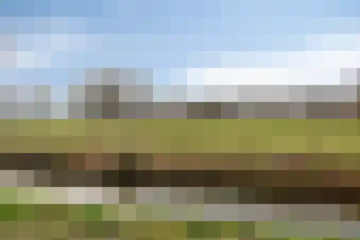 Woert 9 Haaksbergen thumbnail 31