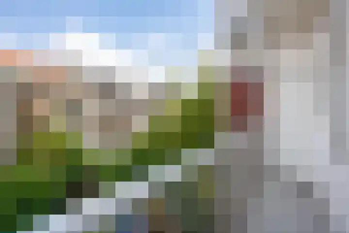 Woestduinstraat 17 H Amsterdam thumbnail 12