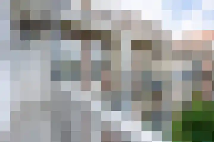 Woestduinstraat 17 H Amsterdam thumbnail 13