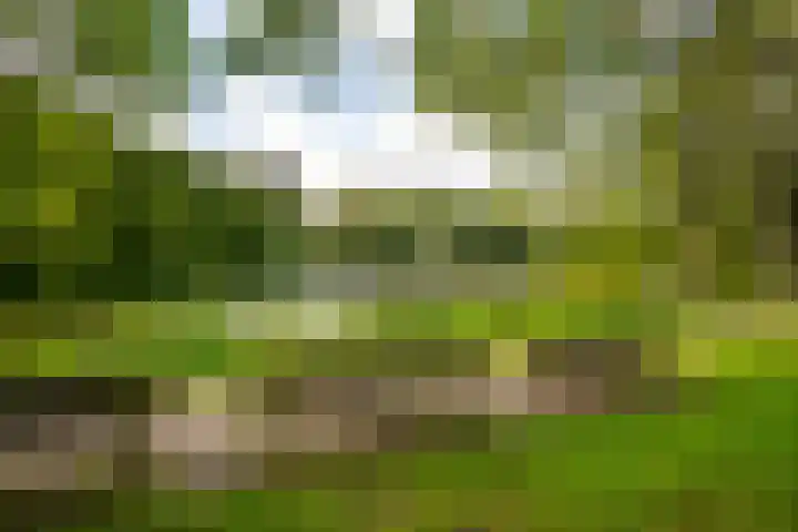 Woestduinstraat 17 H Amsterdam thumbnail 24