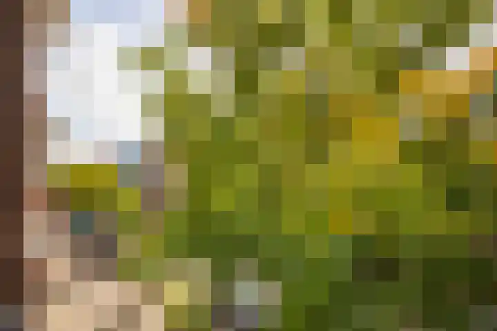 Woestduinstraat 17 H Amsterdam thumbnail 7
