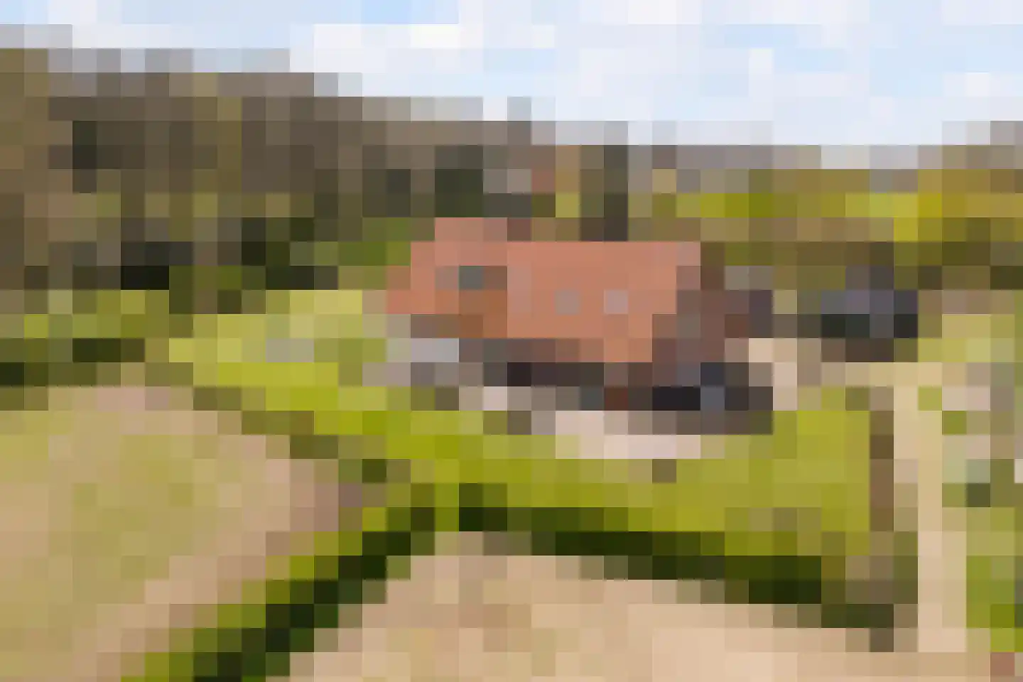Woestenes 7 Eibergen