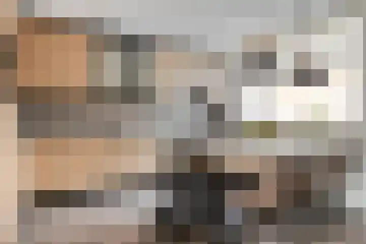 Woestijnweg 38 Vaassen thumbnail 11