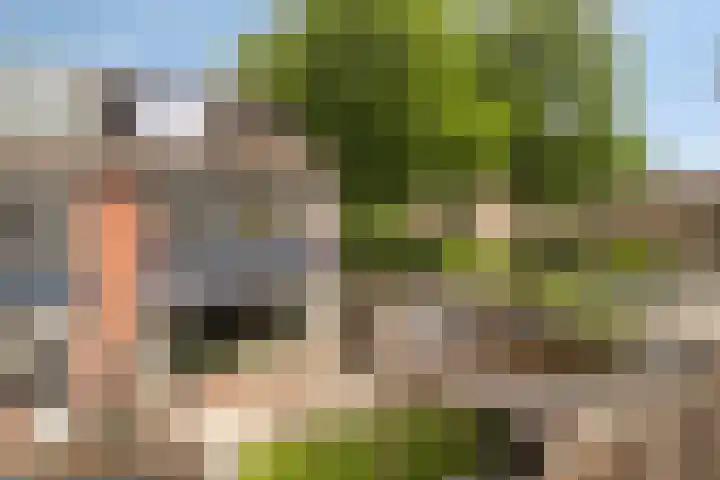 Woestijnweg 38 Vaassen thumbnail 32