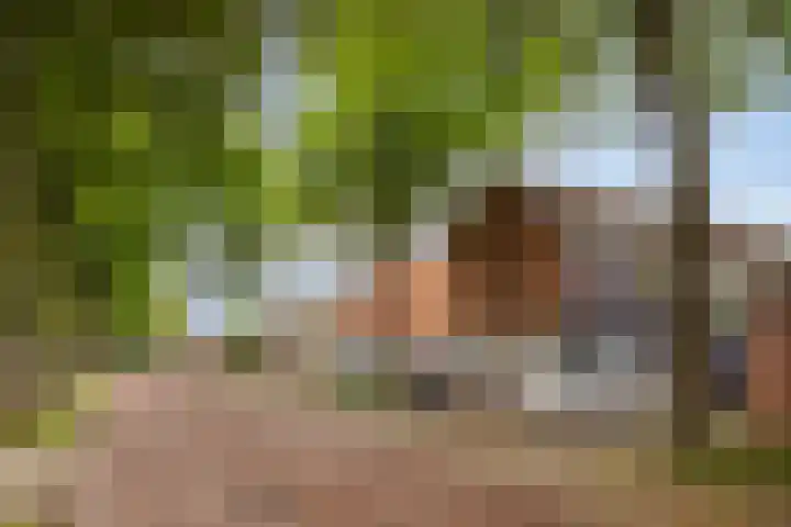 Woestijnweg 38 Vaassen thumbnail 35