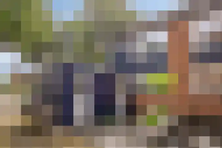 Woestijnweg 38 Vaassen thumbnail 41