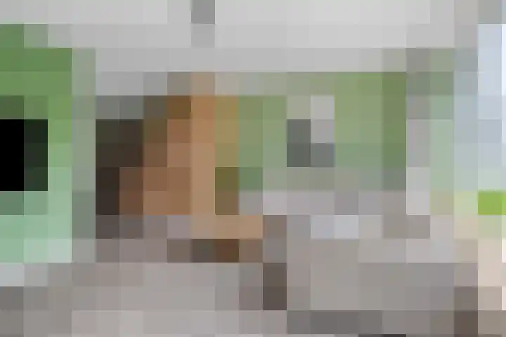 Woestijnweg 38 Vaassen thumbnail 9