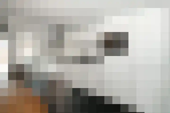 Woestijnweg 5 Vaassen thumbnail 12