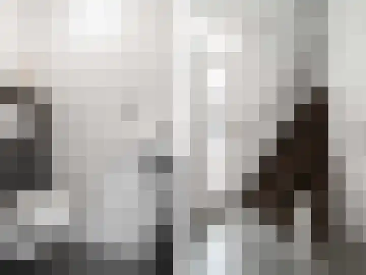 Woestijnweg 5 Vaassen thumbnail 20
