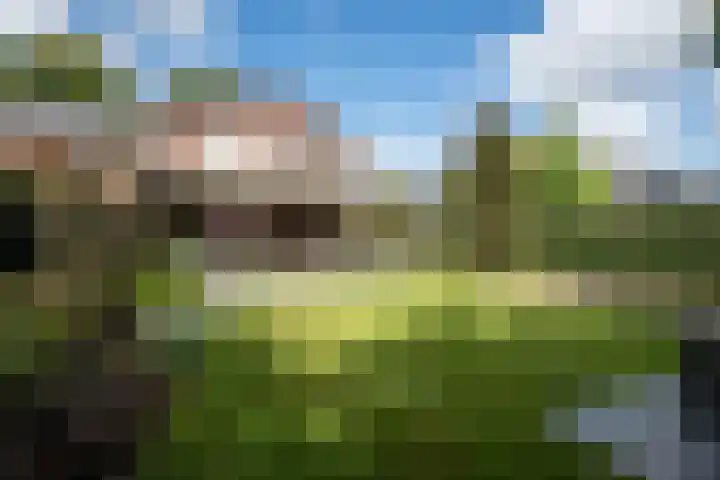 Woestijnweg 5 Vaassen thumbnail 31