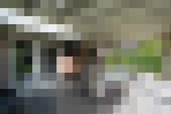 Woestijnweg 5 Vaassen thumbnail 32