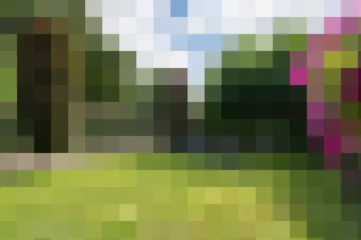 Woestijnweg 5 Vaassen thumbnail 34