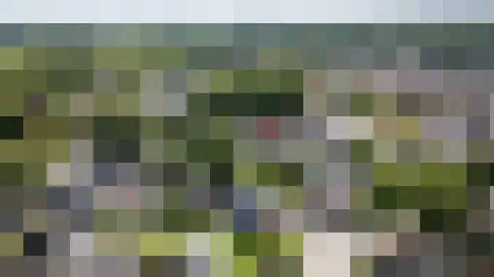 Woestijnweg 5 Vaassen thumbnail 46