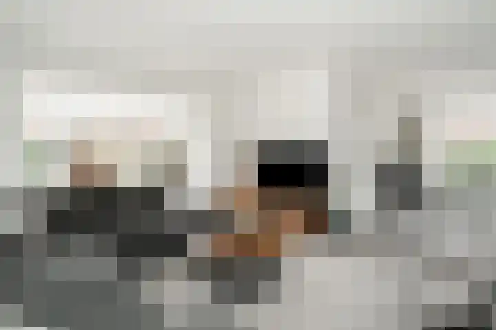 Woestijnweg 5 Vaassen thumbnail 5
