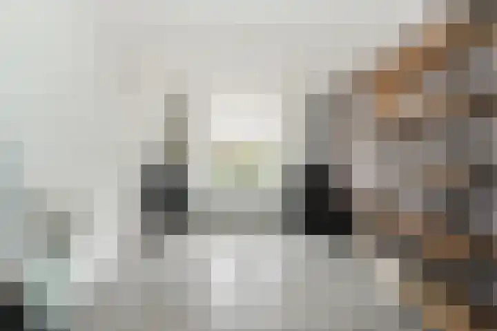Woestijnweg 5 Vaassen thumbnail 9