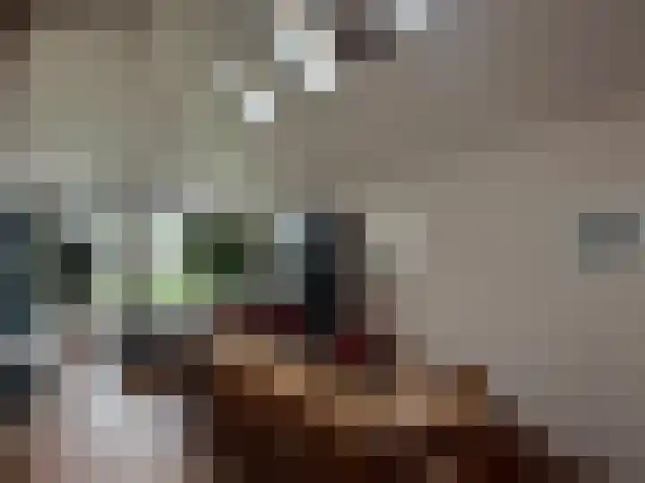 Wogmeer 105 Spierdijk thumbnail 9