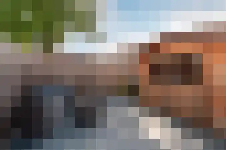 Wogmeer 15 Lelystad thumbnail 39