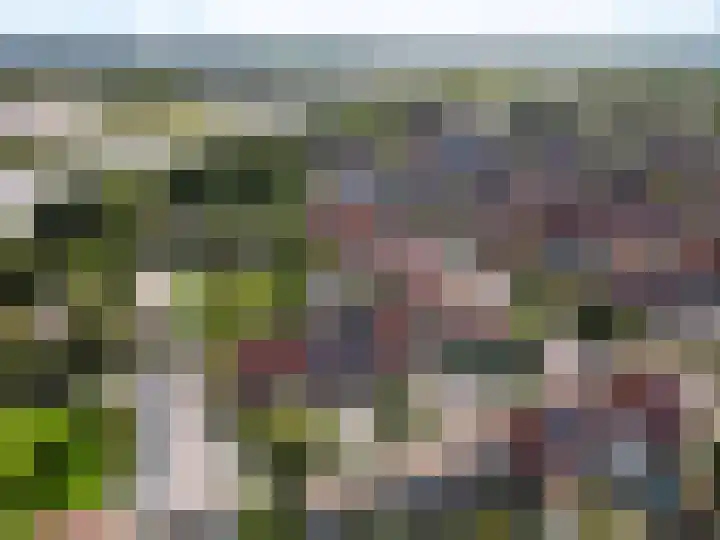 Wogmeer 15 Lelystad thumbnail 48