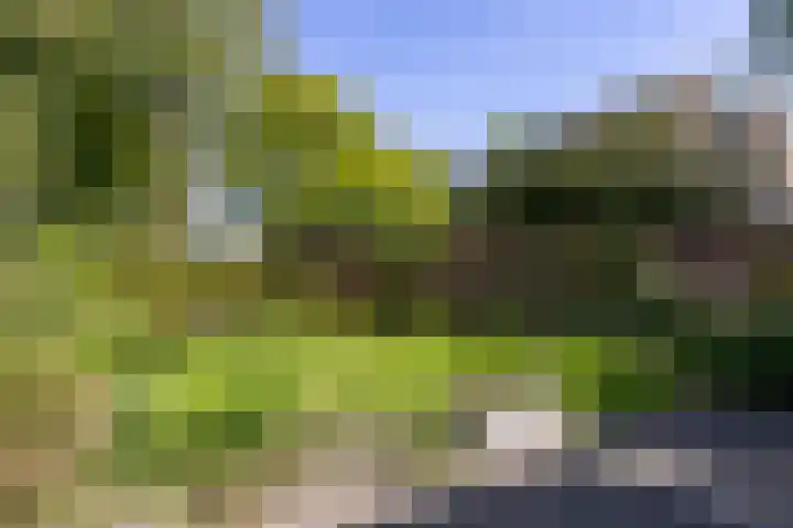 Wogmeer 3 Lelystad thumbnail 12