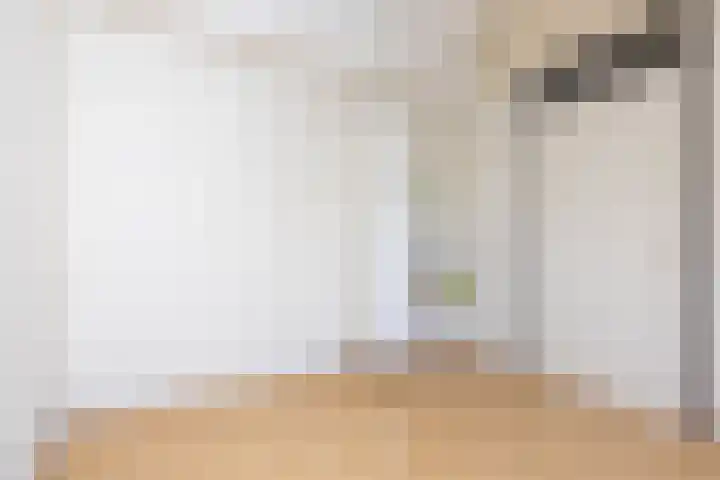 Wogmeer 3 Lelystad thumbnail 31
