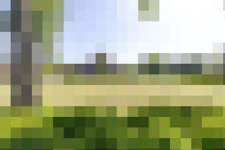 Wogmeer 3 Lelystad thumbnail 32
