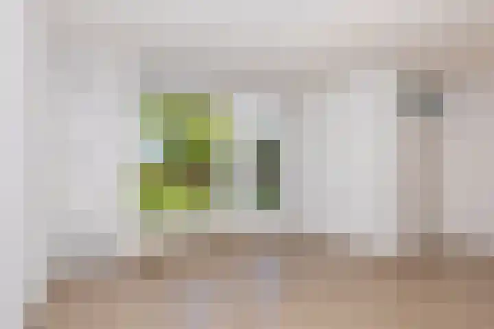 Wogmeer 3 Lelystad thumbnail 9