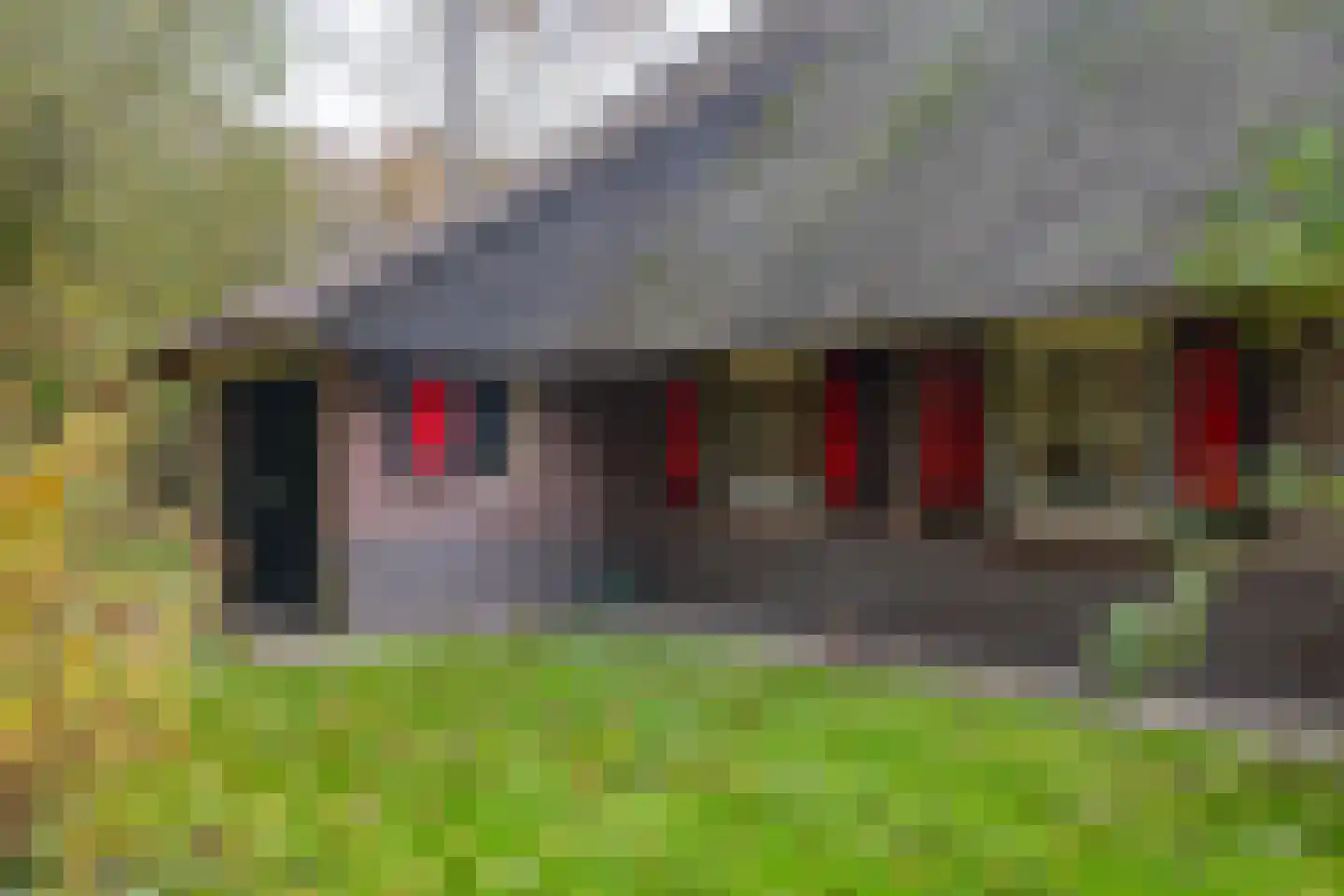 Wolbarg 9 Ruurlo thumbnail 22