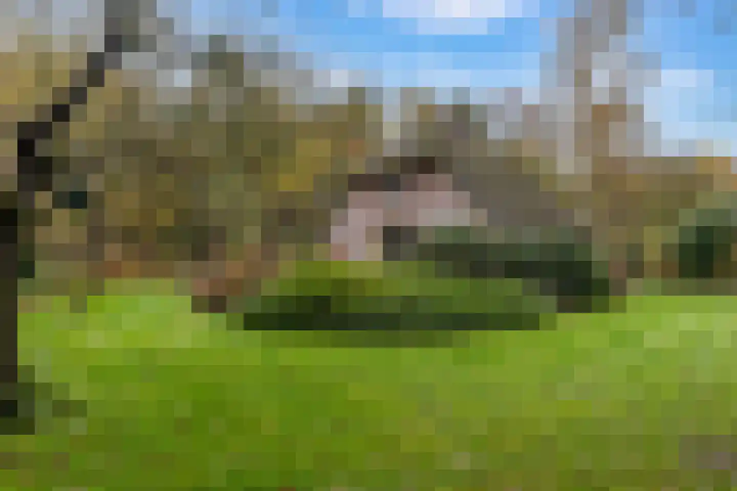Wolbarg 9 Ruurlo thumbnail 24