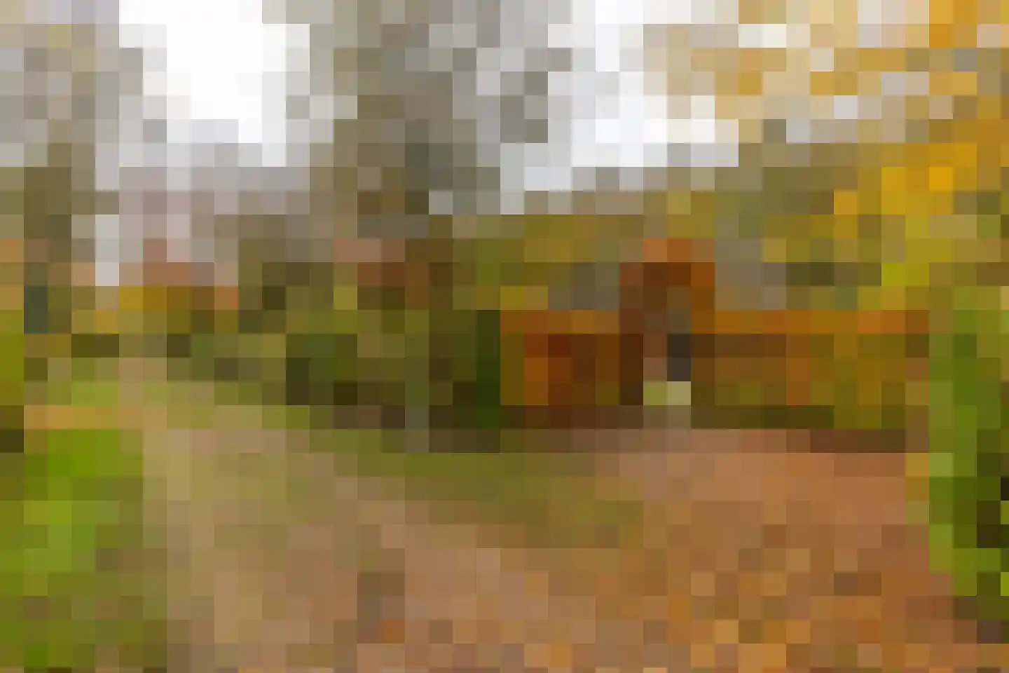 Wolbarg 9 Ruurlo thumbnail 6