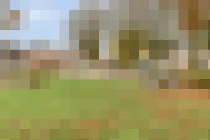 Wolberg 10 Veldhoven thumbnail 30
