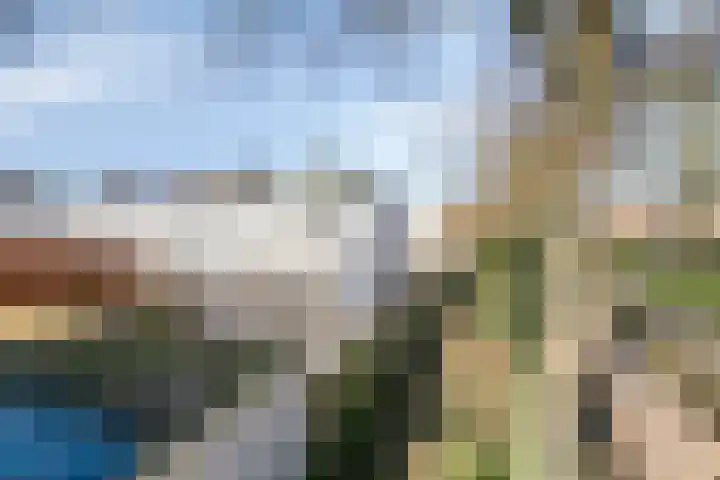 Wold 21 21 36 Lelystad thumbnail 39