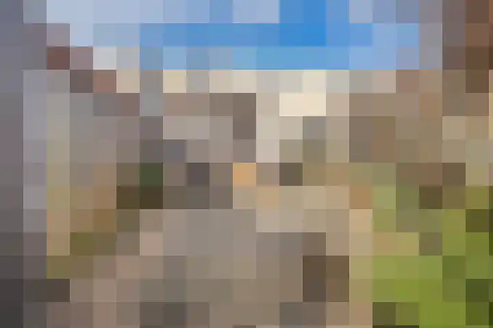 Wold 24 24 33 Lelystad thumbnail 23