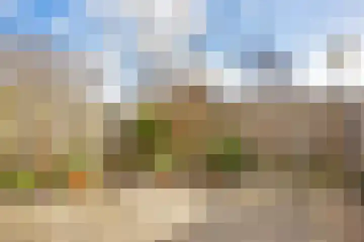 Wold 24 24 33 Lelystad thumbnail 25
