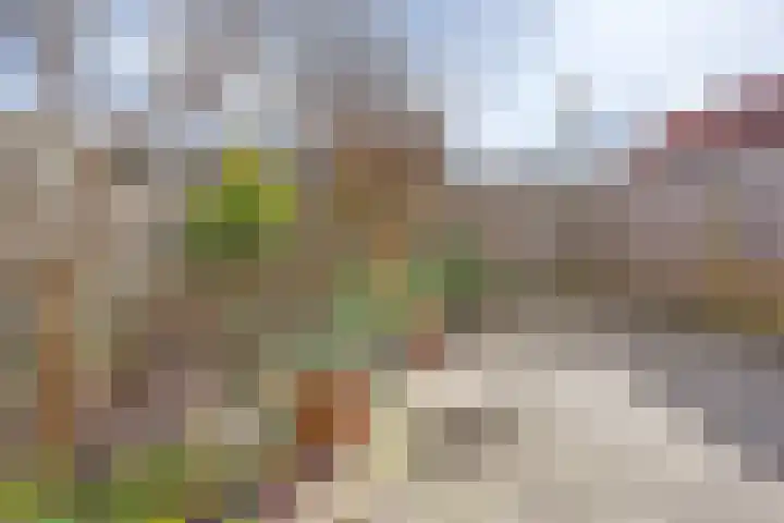 Wold 24 24 33 Lelystad thumbnail 26