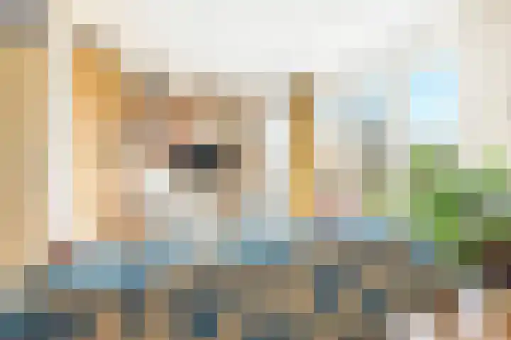 Wold 24 24 33 Lelystad thumbnail 5