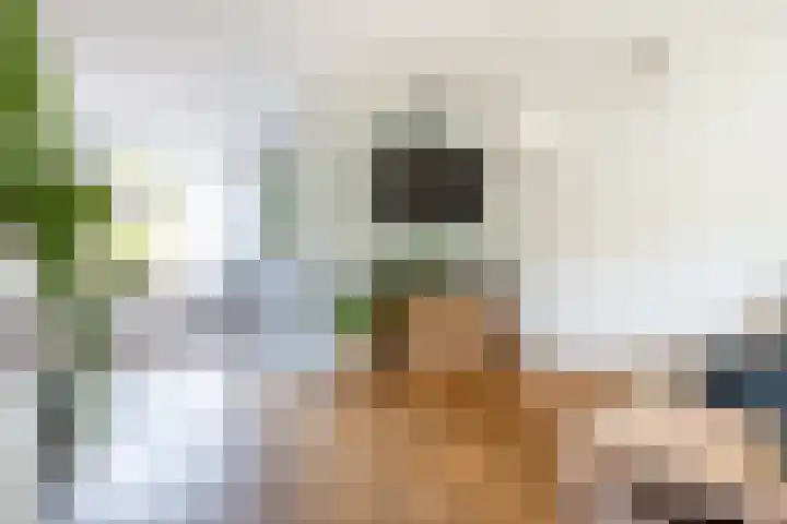 Wold 25 25 42 Lelystad thumbnail 15