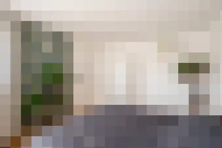 Wold 25 25 42 Lelystad thumbnail 41