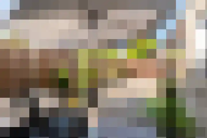 Wold 25 25 42 Lelystad thumbnail 45