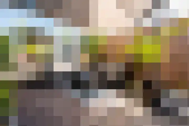 Wold 25 25 42 Lelystad thumbnail 46