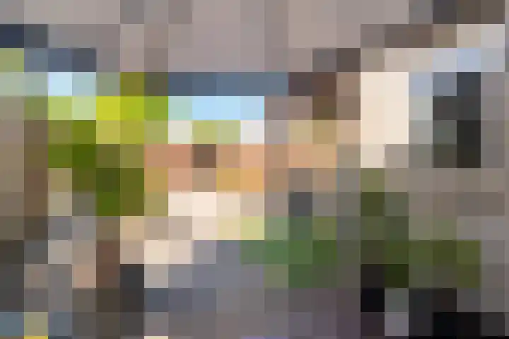 Wold 25 25 42 Lelystad thumbnail 47