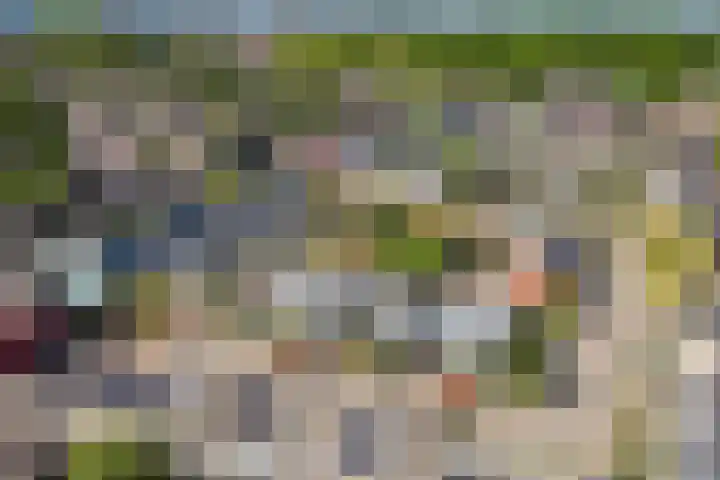 Wold 25 25 42 Lelystad thumbnail 5