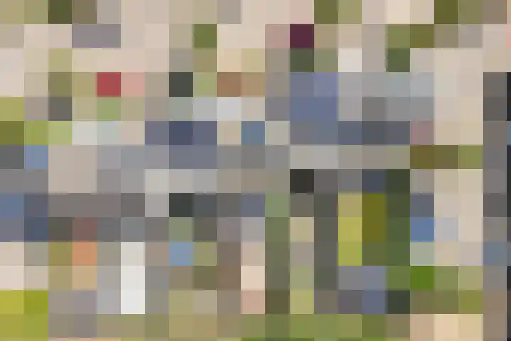 Wold 25 25 42 Lelystad thumbnail 51