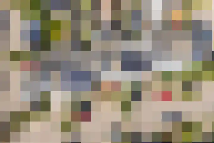Wold 25 25 42 Lelystad thumbnail 52