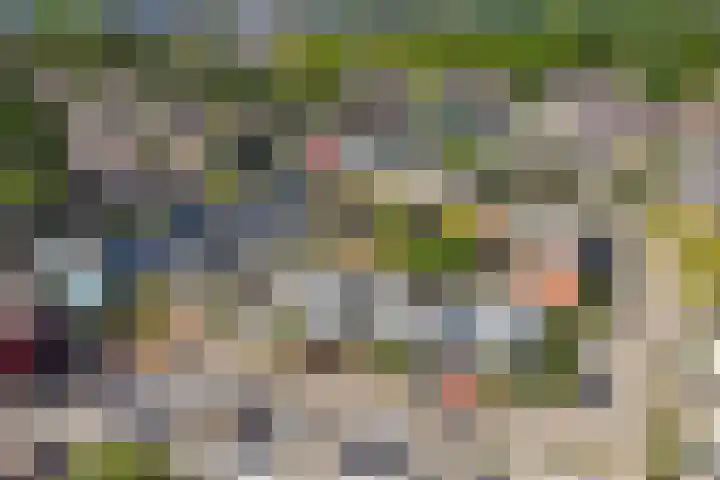 Wold 25 25 42 Lelystad thumbnail 53