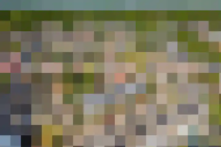 Wold 25 25 42 Lelystad thumbnail 55