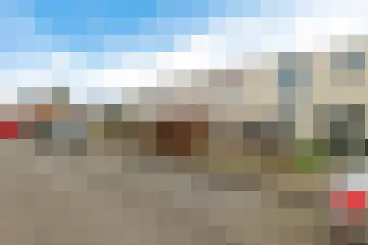 Wold 25 25 43 Lelystad thumbnail 4